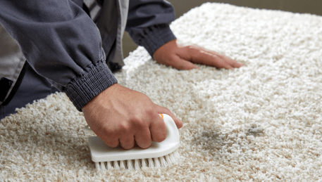 Professional Rug Cleaning Corio
